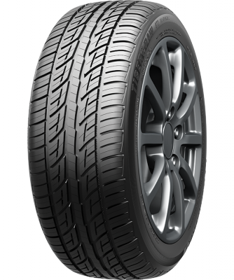 Tiger Paw GTZ A/S 2 Tires